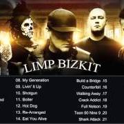 Il testo BREAK STUFF dei LIMP BIZKIT è presente anche nell'album Greatest hits (2005)