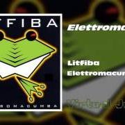 Il testo PROFUMO dei LITFIBA è presente anche nell'album Elettromacumba (2000)