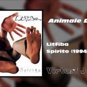 Il testo ANIMALE DI ZONA dei LITFIBA è presente anche nell'album Spirito (1995)