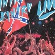 Il testo WHAT'S YOUR NAME? dei LYNYRD SKYNYRD è presente anche nell'album Southern by the grace of god (1988)