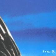 Il testo SUMMER IN BERLIN degli ALPHAVILLE è presente anche nell'album Dreamscapes - disc 1 (1999)