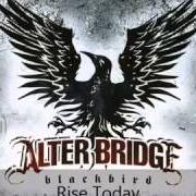 Il testo I KNOW IT HURTS degli ALTER BRIDGE è presente anche nell'album Ab iii (2010)
