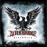 Il testo BRAND NEW START degli ALTER BRIDGE è presente anche nell'album Blackbird (2007)