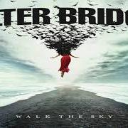 Il testo FOREVER FALLING degli ALTER BRIDGE è presente anche nell'album Walk the sky (2019)