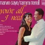 Il testo WHEN LOVE COMES KNOCKING AT MY HEART di MARVIN GAYE è presente anche nell'album You're all i need [with tammi terrell] (1968)