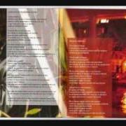 Il testo MACCHISSENEFREGA di MASSIMO DI CATALDO è presente anche nell'album Macchissenefrega (2009)