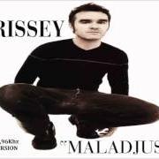 Il testo SORROW WILL COME IN THE END di MORRISSEY è presente anche nell'album Maladjusted (1997)