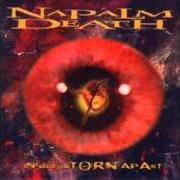 Il testo INDISPOSE dei NAPALM DEATH è presente anche nell'album Inside the torn apart (1997)