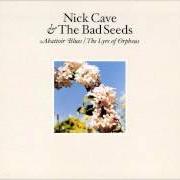 Il testo SUPERNATURALLY dei NICK CAVE & THE BAD SEEDS è presente anche nell'album Abattoir blues / the lyre of orpheus (2004)