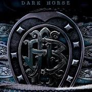 Il testo SHAKIN HANDS dei NICKELBACK è presente anche nell'album Dark horse (2008)