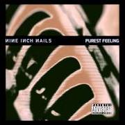 Il testo SANCTIFIED dei NINE INCH NAILS è presente anche nell'album Purest feeling (1994)