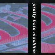 Il testo KINDA I WANT TO dei NINE INCH NAILS è presente anche nell'album Pretty hate machine (1989)
