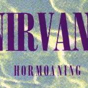 Il testo D-7 dei NIRVANA è presente anche nell'album Hormoaning (1992)