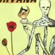 Il testo SON OF A GUN (VASELINES COVER) dei NIRVANA è presente anche nell'album Incesticide (1992)