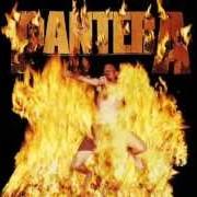 Il testo UPLIFT dei PANTERA è presente anche nell'album Reinventing the steel (2000)