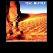 Il testo UN DESERTO DI PAROLE di PINO DANIELE è presente anche nell'album Non calpestare i fiori nel deserto (1995)
