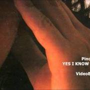 Il testo AMORE SENZA FINE di PINO DANIELE è presente anche nell'album Yes i know my way (1998)