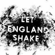 Il testo BITTER BRANCHES di PJ HARVEY è presente anche nell'album Let england shake (2011)