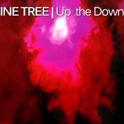Il testo UP THE DOWNSTAIR dei PORCUPINE TREE è presente anche nell'album Up the downstairs (1993)
