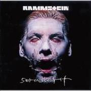 Il testo KUSS MICH (FELLFROSCH) dei RAMMSTEIN è presente anche nell'album Sehnsucht (1997)