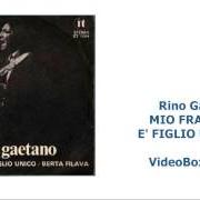 Il testo SCUSA MARY di RINO GAETANO è presente anche nell'album Figlio unico (disc.1) (2007)