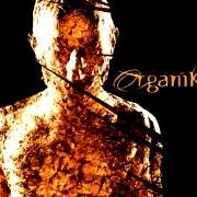 Il testo SEPARATION di ROBERT MILES è presente anche nell'album Organik (2001)