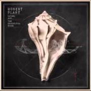 Il testo UP ON THE HOLLOW HILL (UNDERSTANDING ARTHUR) di ROBERT PLANT è presente anche nell'album Lullaby and...The ceaseless roar (2014)
