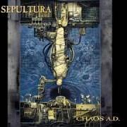 Il testo THE HUNT dei SEPULTURA è presente anche nell'album Chaos a.D. (1993)