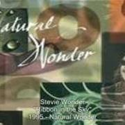 Il testo DANCING TO THE RYTHM di STEVIE WONDER è presente anche nell'album Natural wonder (1995)