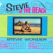Il testo THE PARTY AT THE BEACH HOUSE di STEVIE WONDER è presente anche nell'album Stevie at the beach (1964)