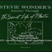 Il testo KESSE YE LOLO DE YE di STEVIE WONDER è presente anche nell'album Stevie wonder's journey through the secret life of plants (1979)