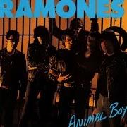 Il testo FREAK OF NATURE dei RAMONES è presente anche nell'album Animal boy (1986)