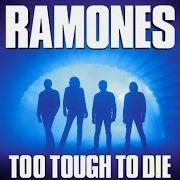Il testo DANGER ZONE dei RAMONES è presente anche nell'album Too tough to die (1984)