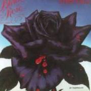 Il testo ROISIN DUBH (BLACK ROSE): A ROCK LEGEND dei THIN LIZZY è presente anche nell'album Black rose: a rock legend (1979)