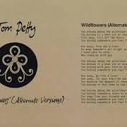 Il testo DON'T FADE ON ME (ALTERNATE VERSION) di TOM PETTY è presente anche nell'album Finding wildflowers (alternate versions) (2021)
