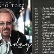 Il testo QUALCOSA QUALCUNO di UMBERTO TOZZI è presente anche nell'album Le mie canzoni (1991)