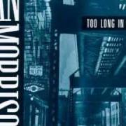 Il testo MOODY'S MOOD FOR LOVE di VAN MORRISON è presente anche nell'album Too long in exile (1993)