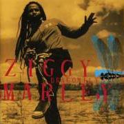 Il testo DRAGONFLY di ZIGGY MARLEY è presente anche nell'album Dragonfly (2003)