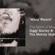 Il testo HIGH TIDE OR LOW TIDE di ZIGGY MARLEY è presente anche nell'album Spirit of music (1999)