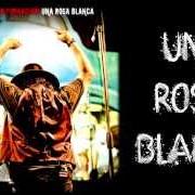 Il testo EVERYBODY'S GOT TO LEARN SOMETIME di ZUCCHERO è presente anche nell'album Una rosa blanca (2013)