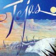 Il testo ENJOY AND GET IT ON degli ZZ TOP è presente anche nell'album Tejas (1976)