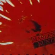 Il testo FUOCO SU DI TE dei MARLENE KUNTZ è presente anche nell'album Catartica (1994)
