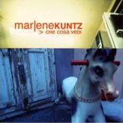 Il testo LA MIA PROMESSA (IN PARADISO) dei MARLENE KUNTZ è presente anche nell'album Che cosa vedi (2000)