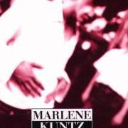 Il testo OVERFLASH dei MARLENE KUNTZ è presente anche nell'album Il vile (1996)