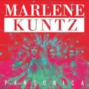 Il testo CAPELLO LUNGO dei MARLENE KUNTZ è presente anche nell'album Pansonica (2014)