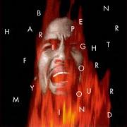 Il testo BURN ONE DOWN di BEN HARPER è presente anche nell'album Fight for your mind (1995)
