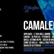 Il testo COME SEI BELLA dei CAMALEONTI è presente anche nell'album Sanremo