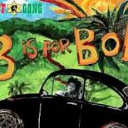 Il testo SATISFY MY SOUL di BOB MARLEY è presente anche nell'album B is for bob (2009)