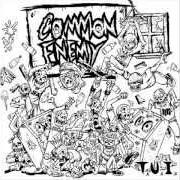 Il testo HEROES IN A HALFSHELL dei COMMON ENEMY è presente anche nell'album T.U.I. (2006)