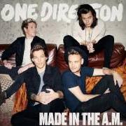 Il testo I WANT TO WRITE YOU A SONG degli ONE DIRECTION è presente anche nell'album Made in the a.M. (2015)